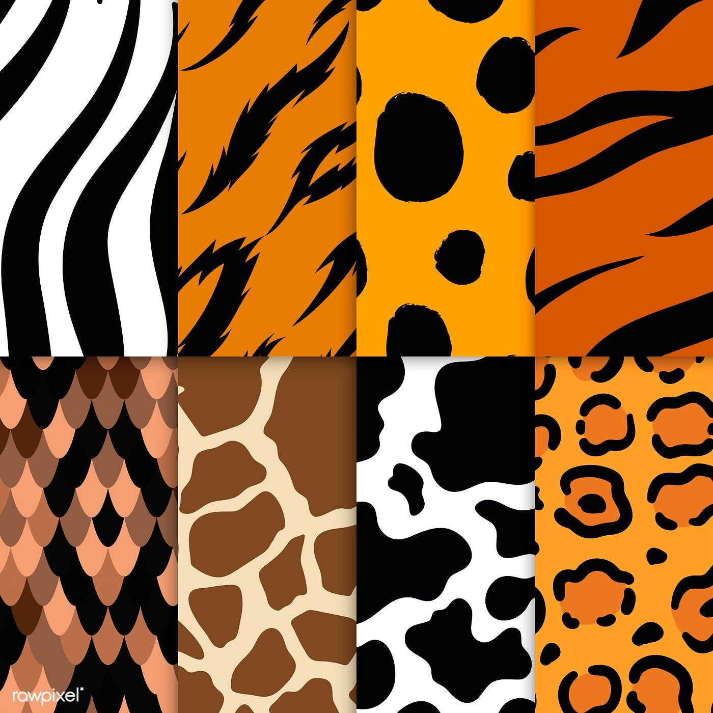 Animal Prints 2.0: How Bold Prints Are Being Reimagined for Everyday Wear